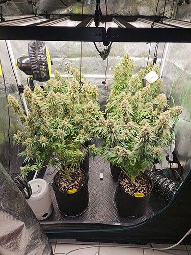 Growreport Bild 21