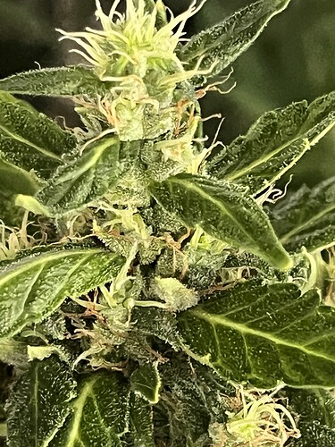Growreport Bild 11