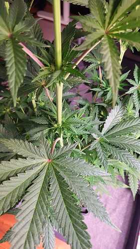 Growreport Bild 17