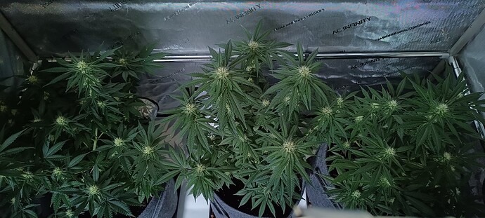 Growreport Bild 3