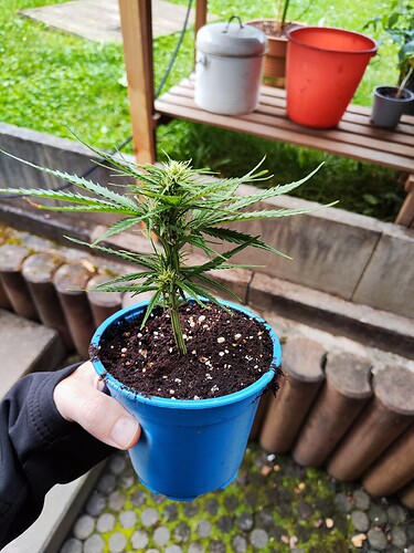 Growreport Bild 19