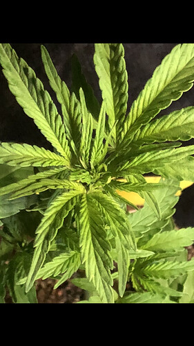 Growreport Bild 12