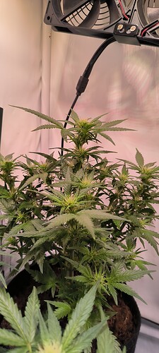 Growreport Bild 7