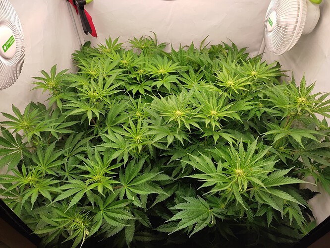 Growreport Bild 11