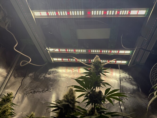 Growreport Bild 7