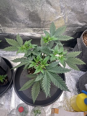 Growreport Bild 20