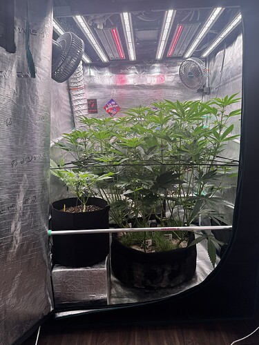 Growreport Bild 11