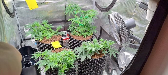 IMG_20251008_100751877_HDR