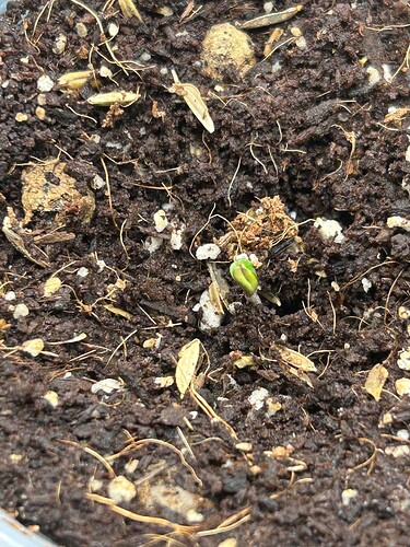 Growreport Bild 100