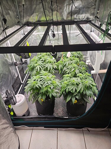 Growreport Bild 10