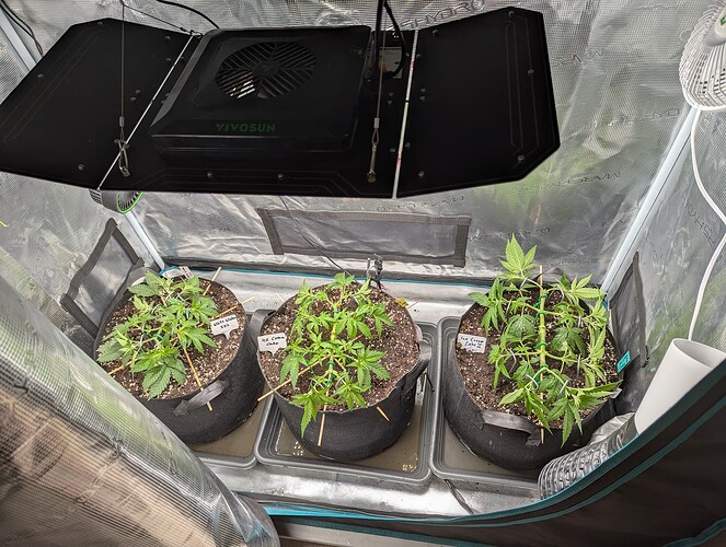 PXL_20250619_103655306.MP