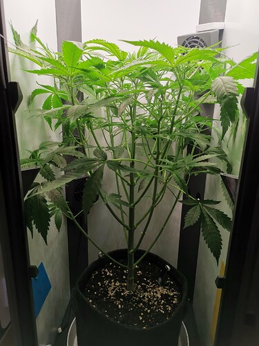 Growreport Bild 18