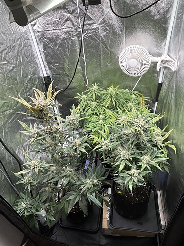 Growreport Bild 7