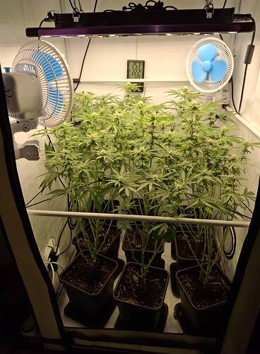Growreport Bild 3