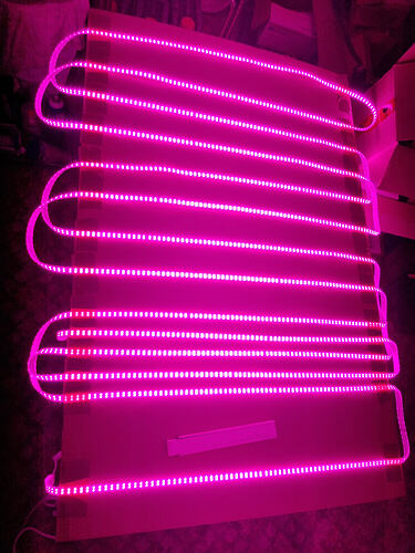 Ein LED-Growlight-Streifen, der in einer Schlaufenform auf einer Pappe angeordnet ist.