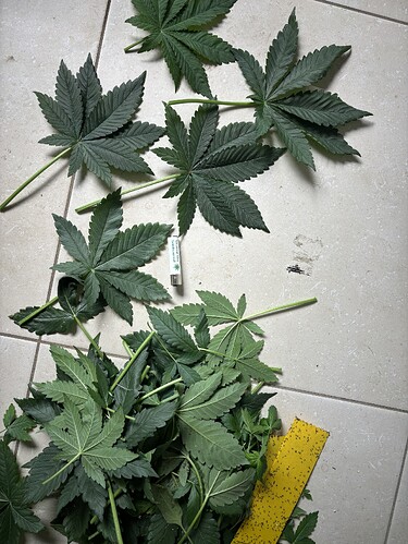 Growreport Bild 10