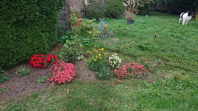 Growreport Bild 12