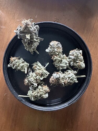 Growreport Bild 14