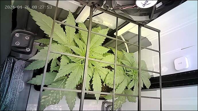 Growreport Bild 8