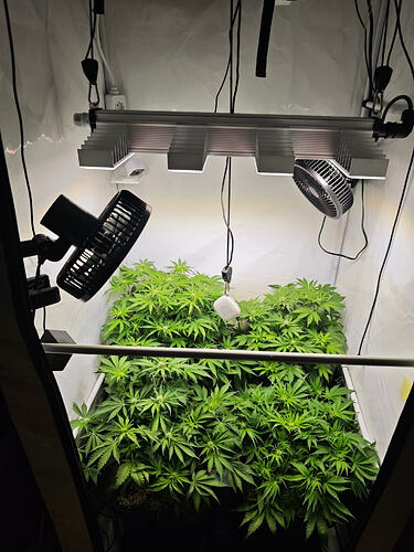 Growreport Bild 28