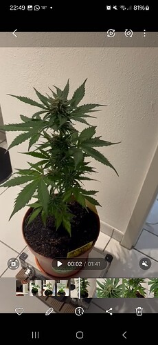 Screenshot_20240604_224923_Gallery