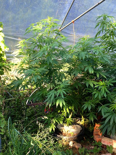 Growreport Bild 22