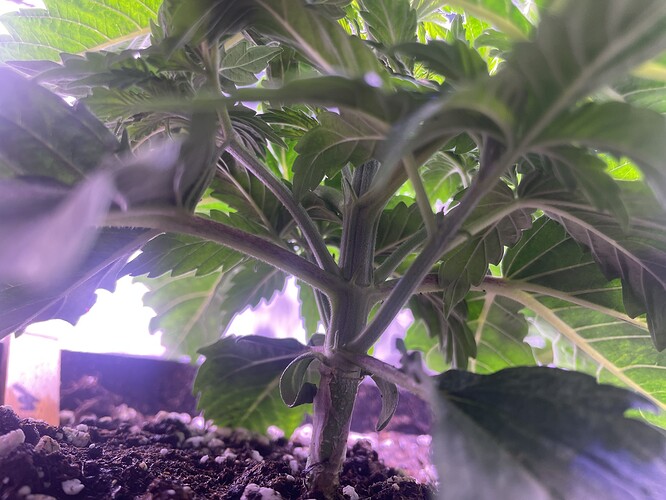 Growreport Bild 14