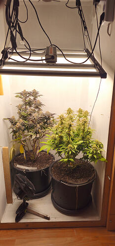 20260404_075828