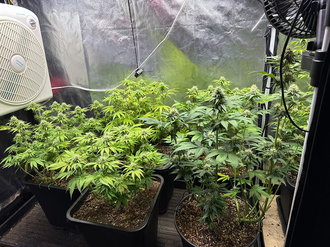 Growreport Bild 3