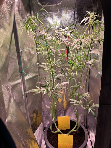 Growreport Bild 11