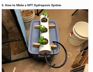 Screenshot 2025-10-17 at 04-23-09 Homemade DIY Hydroponic System (How to Build)
