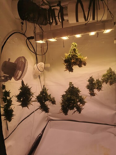 Growreport Bild 4