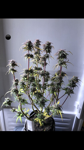 Growreport Bild 12