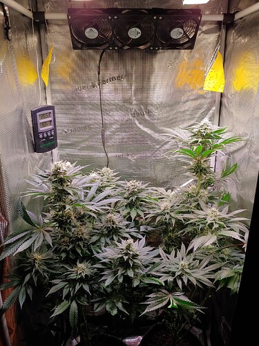 Growreport Bild 16