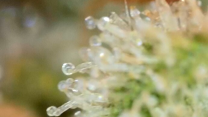 2024-06-29-14-36-42-183