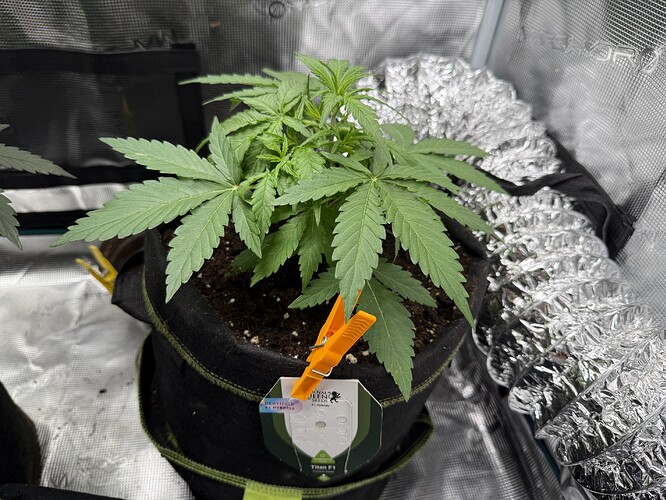 Growreport Bild 36