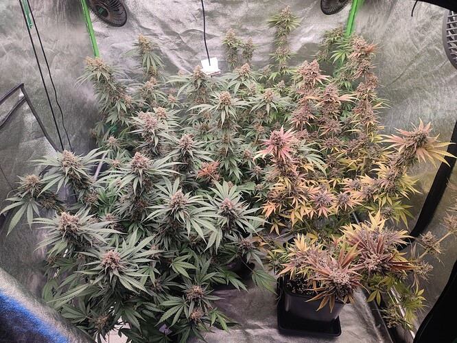 Growreport Bild 22