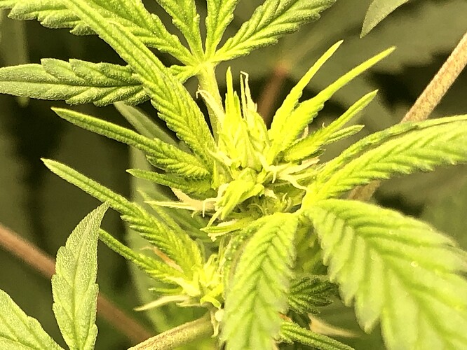 Growreport Bild 5
