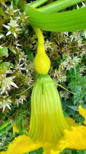 Growreport Bild 36