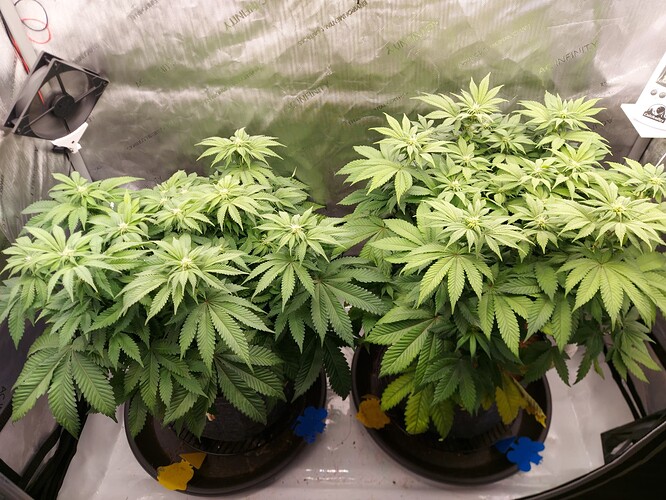 Growreport Bild 1