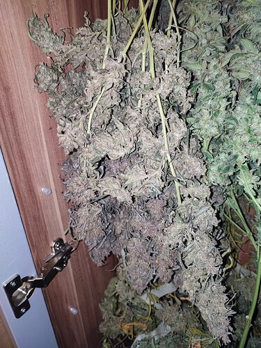 Growreport Bild 3