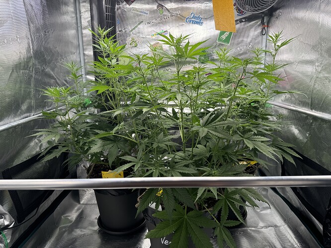 Growreport Bild 26