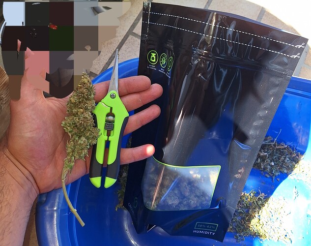 Growreport Bild 2