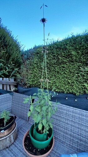 Growreport Bild 12