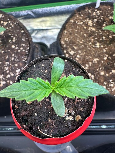 Growreport Bild 13