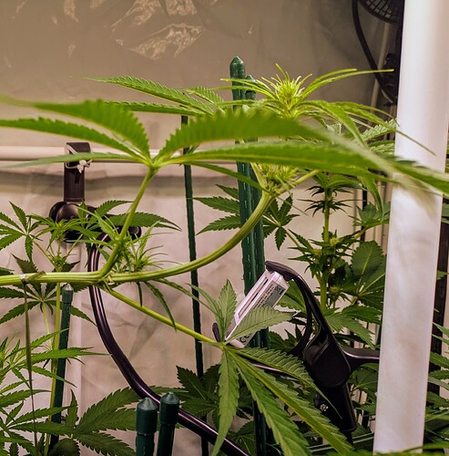 Growreport Bild 6