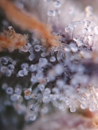 MVIMG_20251125_180246