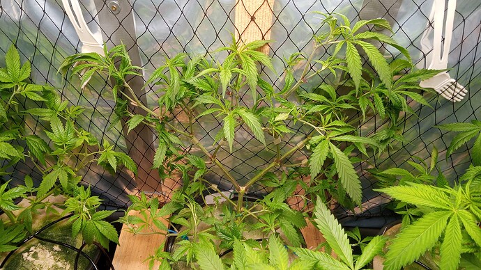 Growreport Bild 5