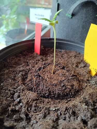 IMG_20240422_084950633_HDR