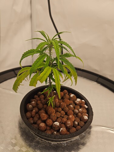 Growreport Bild 15